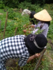 women in community garden